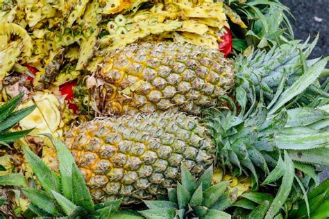 Selling Pineapple Fruits At Rural Market Stock Photo Image Of Market