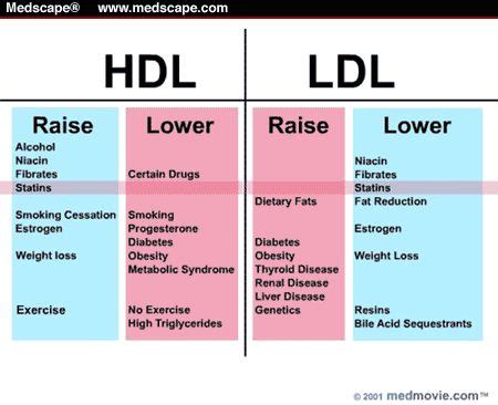 But what is really to blame is the ratio of ldl cholesterol to hdl cholesterol. Raise HDL - Lower LDL | Healthy About Food | Pinterest