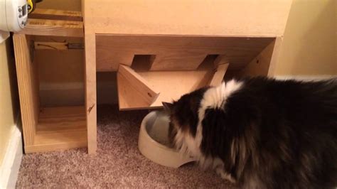 My Homemade Automatic Cat Feeder Youtube
