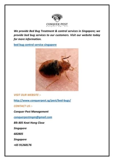Bed Bug Control Service Singapore Conquer Pest