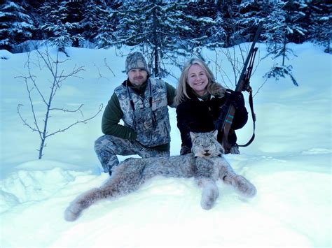 Cougar Hunting In Bc Hunting Cougar In Bc Book A Cougar Hunt
