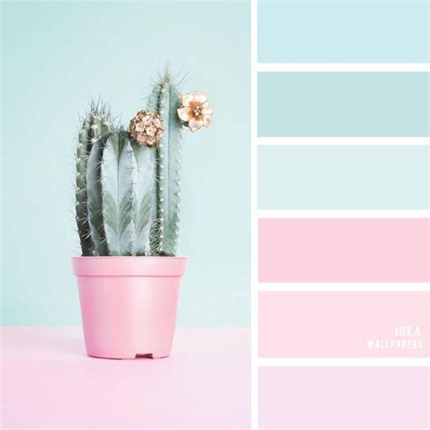 19 The Perfect Pink Color Combinations Blush Light Blue Mint