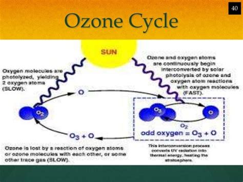 Ozone Layerdepletion And Its Effects