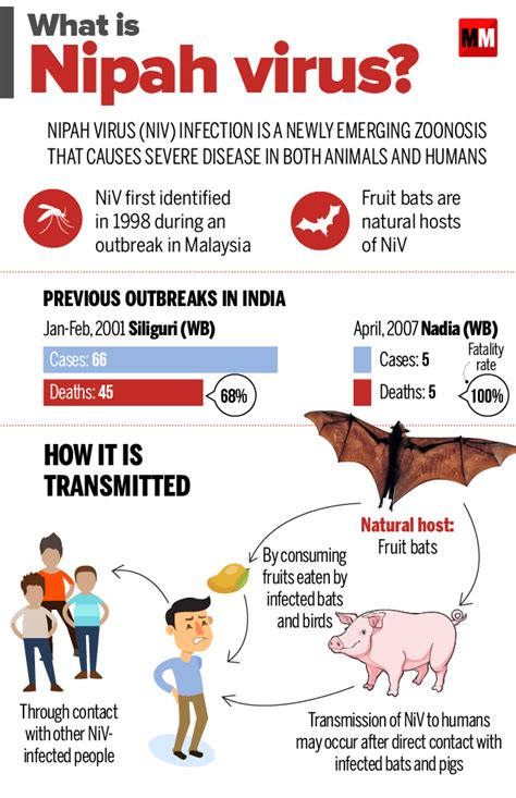Nipah virus is the causative agent of the nipah virus infection, an emerging zoonotic disease first reported after an outbreak in malaysia in 1998. Nipah virus in Kerala ~ India GK, Current Affairs 2019