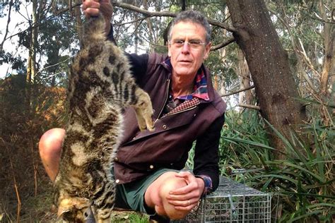 Feral Cats Rewrite The Australian Story Abc Radio National