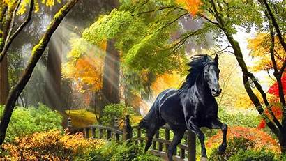 Forest Horse Enchanted Fall Painting Magical Trees