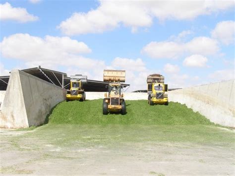 Forage Conservation Techniques Silage And Haylage Production Nc