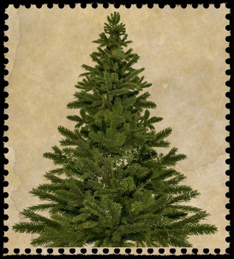 Christmas Tree Postage Stamp Free Stock Photo Public Domain Pictures