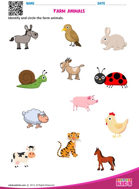 Animals Worksheet For Kindergarten