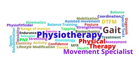 Significance Of Physiotherapy And Its Approach Physiofitfinder
