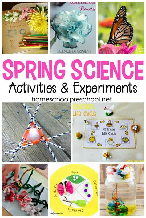 Engaging Spring Science Experiments For Preschoolers