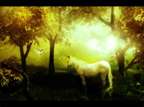 Unicorn In The Forest Fantasy Wallpaper 1225166 Fanpop