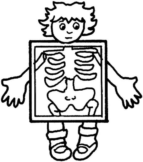 Corpul Uman Anatomie Imagini De Colorat Planse Fisa Biologie ~ Desene Imagini De Colorat