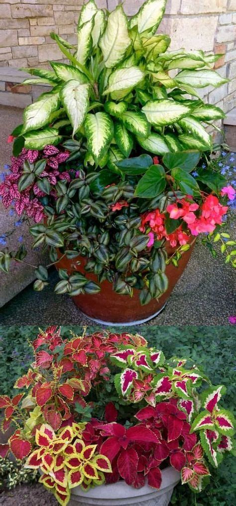 16 Colorful Shade Garden Pots And Plant Lists Container Gardens