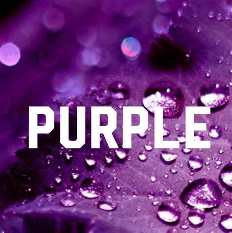 Purple Love All Things Purple Purple Color Color Me Pinterest Board