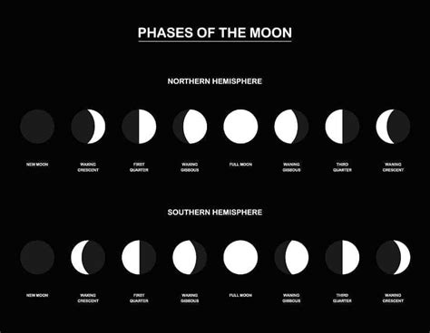 What Causes Moon Phases All 8 Moon Phases Explained I Vrogue Co
