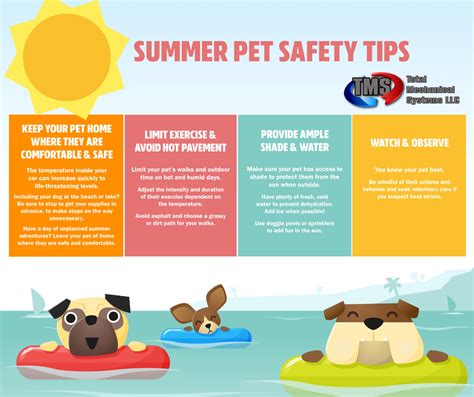 Summer Pet Safety Tips Total Mechanical Systems
