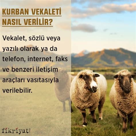 Jun 08, 2021 · kurban vekaleti̇ kizilay'a nasil veri̇li̇r? Kurban vekaleti verilirken ne denir? Kurban vekaleti nasıl ...