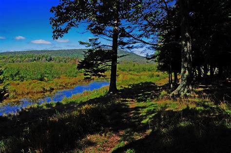 Canaan Valley Resort State Park West Virginia State Parks West