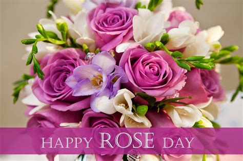Romantic beautiful rose flower background design. Rose Day Images for Whatsapp DP, Profile Wallpapers - Free ...