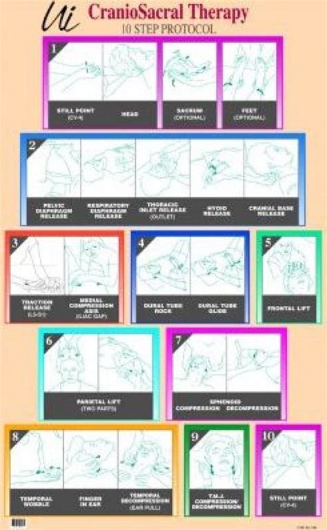 Image Result For Upledger 10 Step Protocol Poster Craniosacraltherapy Craniosacral Therapy