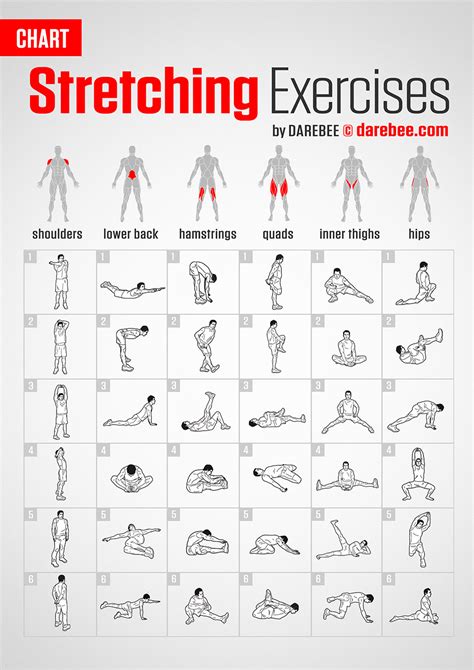 Stretching Exercises Chart Flexibility Workout Gym Workout Chart