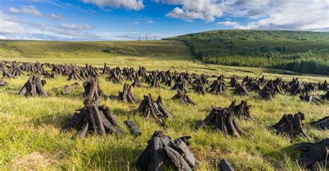 Irelands Peat Bogs Preserve Sacrificial Bodies And Artefacts
