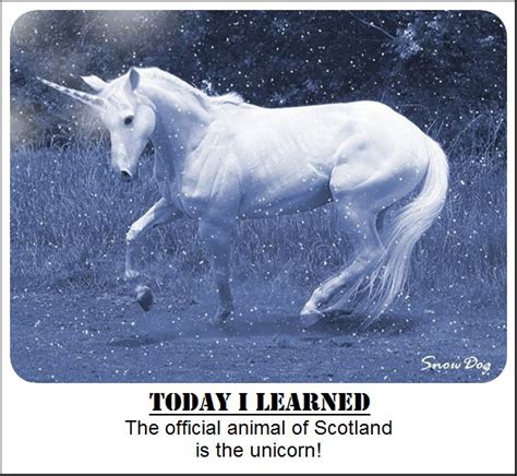 Holyrood park edinburgh castle calton hill. Pin by Kristine Keeney on Fantasy Animals | Pinterest