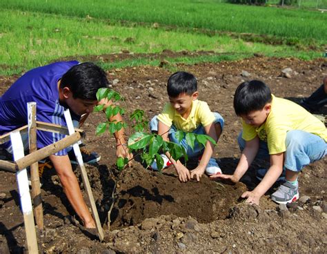 Filipino Students Must Plant 10 Trees Before Being Able To Graduate