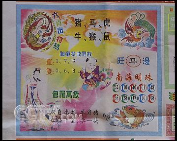 美國天天樂 香港六合彩 威力彩 今彩539 大樂透 開獎號碼的分析程式， 輕鬆抓出六合彩中獎球就是這麼簡單 〔win000〕 六合操盤大師 ： 推薦 0 號程式穩賺不賠，按照程式『獨支專車養牌』，假設拿出本金2萬當成本，投資1年獲利超過20萬成功率達9成，純投資理論. CCTV.com-六合彩：地方经济新杀手