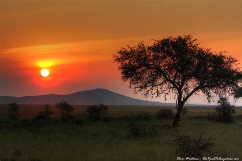 Serengeti National Park Beautiful Sunset In Serengeti National Park