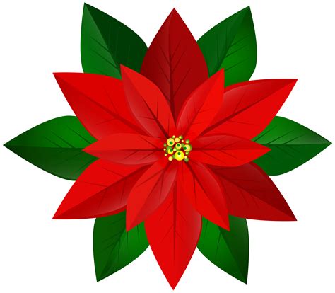 Poinsettia Christmas Clip Art Others Png Download 80007003 Free