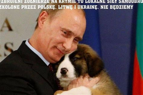 memy rosja ukraina i putin newsweek pl Świat newsweek pl