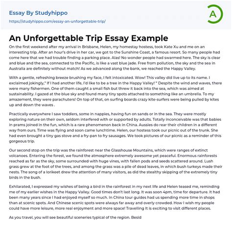 An Unforgettable Trip Essay Example