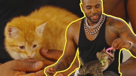 Cats Jason Derulo Chills Out With Kittens The Hook Youtube