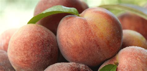 Why You Should Eat Georgia Peaches