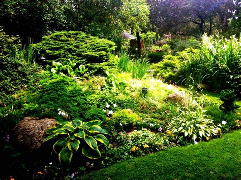 20 Shady Rock Garden Ideas You Should Check Sharonsable