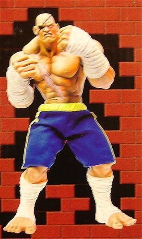 Street Fighter Sota Toys Sagat 10 Roto Cast Figure