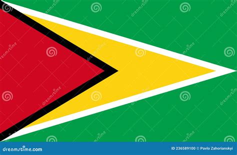 National Guyana Flag Official Colors And Proportion Correctly Guyana