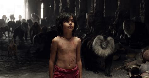 The Jungle Book 2016 Film Pictures Official Disney Uk