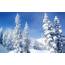 Winter Theme Background 45  Pictures