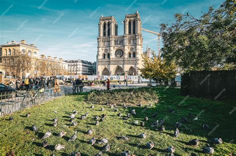 Premium Photo Cathédrale Notre Dame De Paris On Sunny Day