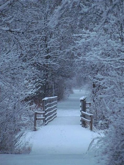 A Peaceful And Enchanted Winter Path ♥ Winter Scenery Winter