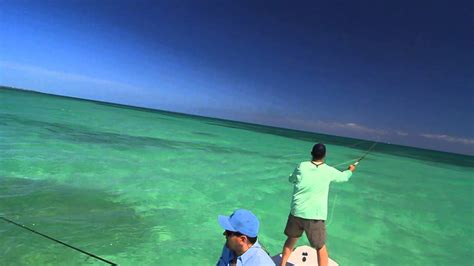 Tarpon School Marathon Florida Keys Fly Fishing Youtube