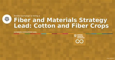 Fiber And Materials Strategy Lead Cotton And Fiber Crops At Textile