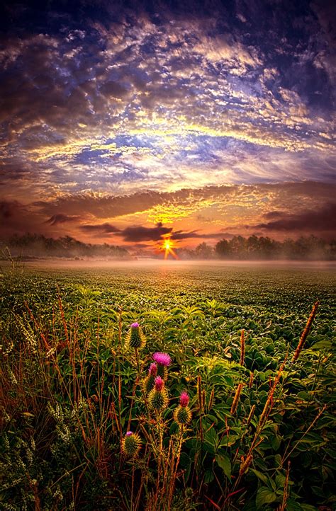 Sunrise Over A Farmers Field In Wisconsin Beautiful Landscapes
