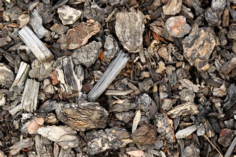Bark Mulch Texture Picture | Free Photograph | Photos Public Domain