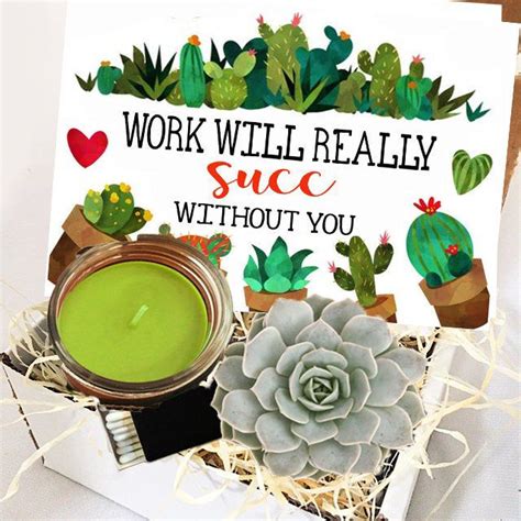 Bcc stands for blind carbon copy. Work will succ without you Succulent Gift Box - Succulent ...