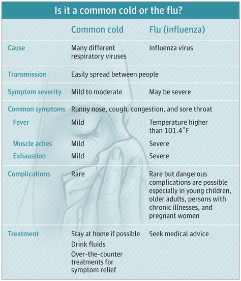 I Have A Cold—what Do I Need To Know Infectious Diseases Jama
