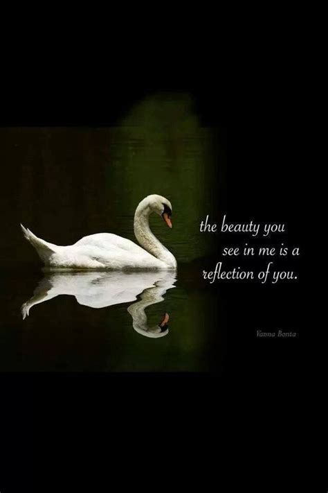 Swan Love Quotes Swan Quote